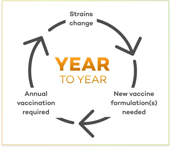 The continuous cycle of influenza strain change, new vaccine formulations, and annual vaccine requirements